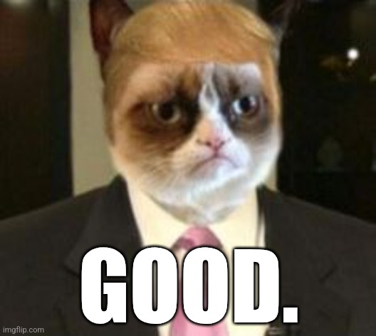 Trumpy Cat | GOOD. | image tagged in trumpy cat | made w/ Imgflip meme maker