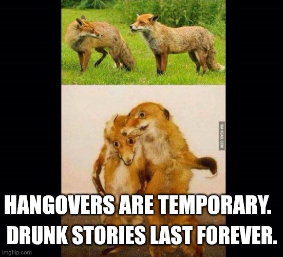 Getting foxed up! | DRUNK STORIES LAST FOREVER. HANGOVERS ARE TEMPORARY. | image tagged in drunk fox,hangover,regret,life advice,drinking | made w/ Imgflip meme maker