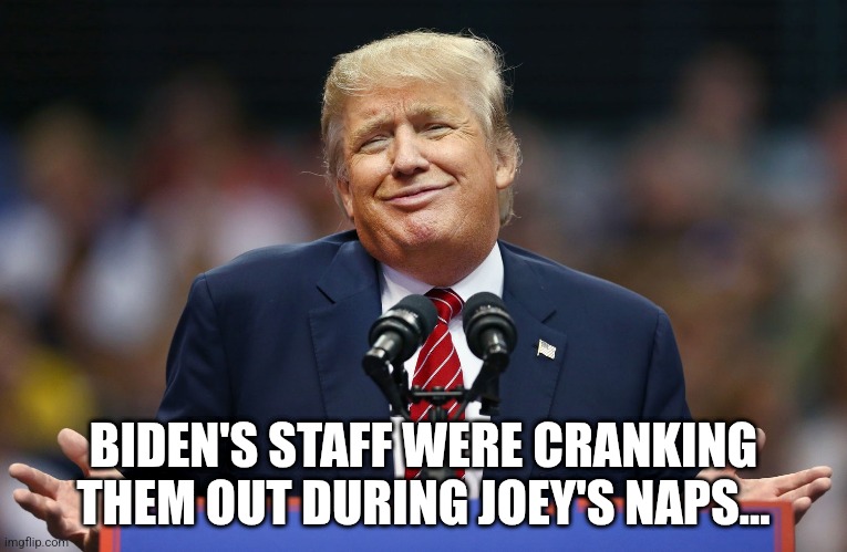 Trump Shrug | BIDEN'S STAFF WERE CRANKING THEM OUT DURING JOEY'S NAPS... | image tagged in trump shrug | made w/ Imgflip meme maker