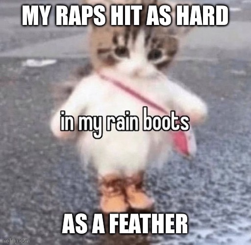 Rain boots | MY RAPS HIT AS HARD; AS A FEATHER | image tagged in rain boots | made w/ Imgflip meme maker