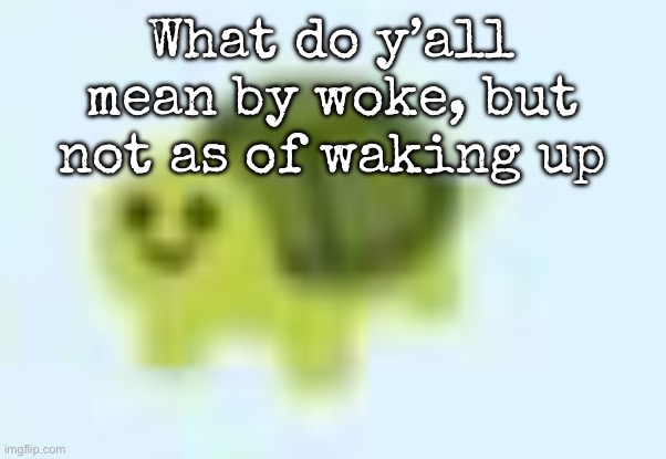 Or wok idk | What do y’all mean by woke, but not as of waking up | image tagged in low quality turtle,msmg | made w/ Imgflip meme maker