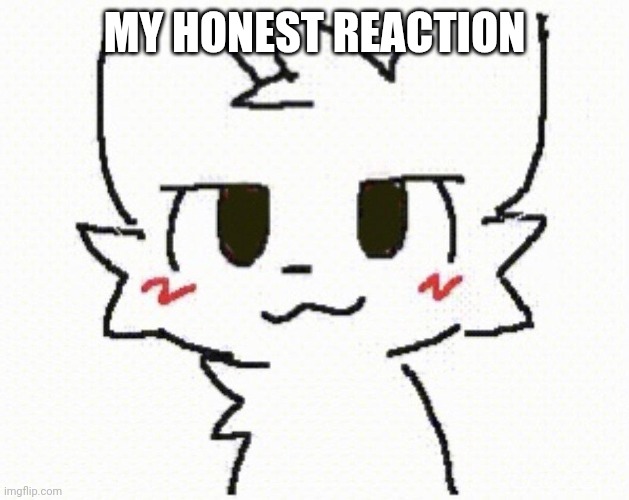 MY HONEST REACTION | image tagged in you like kissing boys | made w/ Imgflip meme maker