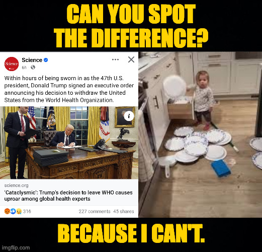 It's going to seem like forever. | CAN YOU SPOT
THE DIFFERENCE? BECAUSE I CAN'T. | image tagged in memes,toddler trump | made w/ Imgflip meme maker