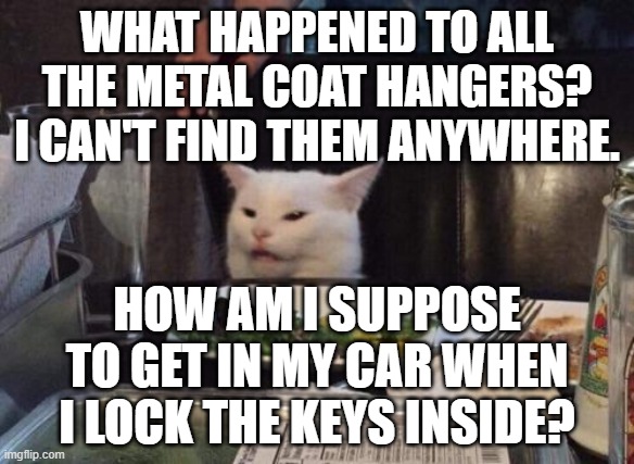 locked my keys in the car | WHAT HAPPENED TO ALL THE METAL COAT HANGERS? I CAN'T FIND THEM ANYWHERE. HOW AM I SUPPOSE TO GET IN MY CAR WHEN I LOCK THE KEYS INSIDE? | image tagged in smudge the cat | made w/ Imgflip meme maker