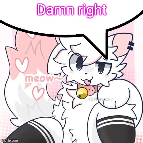 Damn right | image tagged in femboy boykisser speech bubble | made w/ Imgflip meme maker