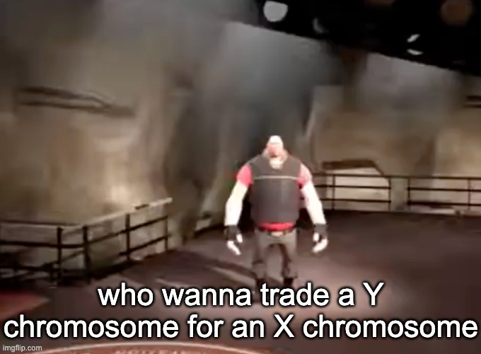 heavy | who wanna trade a Y chromosome for an X chromosome | image tagged in heavy | made w/ Imgflip meme maker