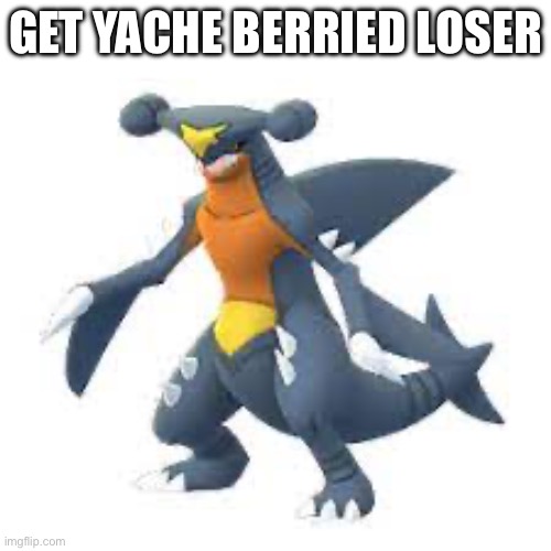 Real | GET YACHE BERRIED LOSER | image tagged in shiny garchomp | made w/ Imgflip meme maker