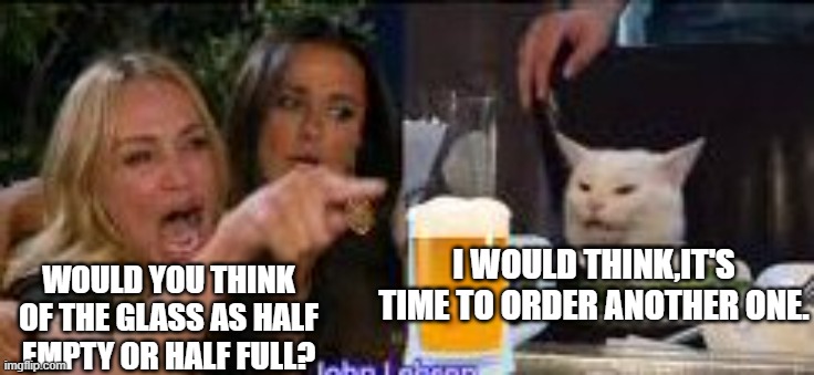 Half empty | I WOULD THINK,IT'S TIME TO ORDER ANOTHER ONE. WOULD YOU THINK OF THE GLASS AS HALF EMPTY OR HALF FULL? | image tagged in smudge the cat | made w/ Imgflip meme maker