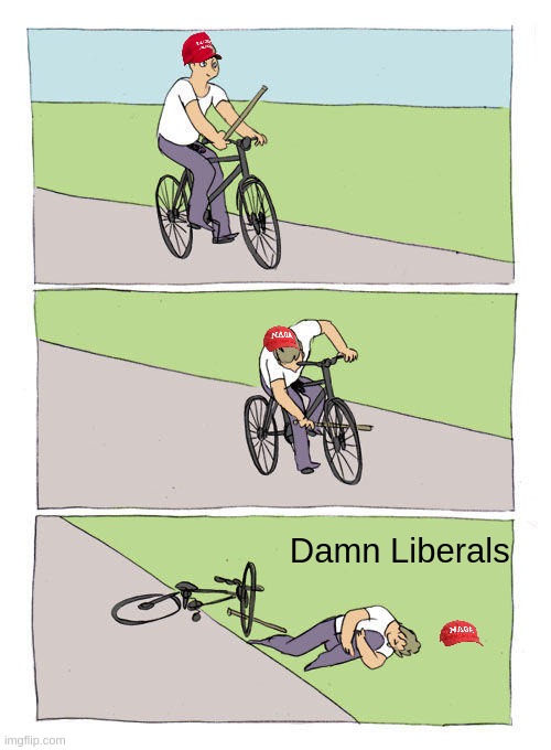 Maga fool | Damn Liberals | image tagged in memes,bike fall | made w/ Imgflip meme maker