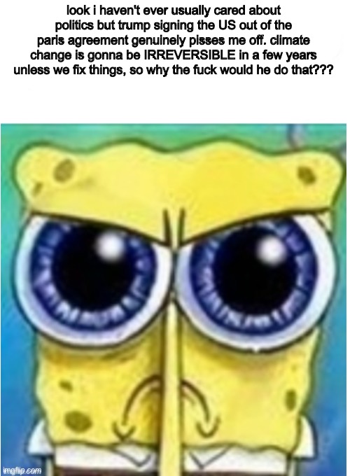 yeah ok liberal | look i haven't ever usually cared about politics but trump signing the US out of the paris agreement genuinely pisses me off. climate change is gonna be IRREVERSIBLE in a few years unless we fix things, so why the fuck would he do that??? | image tagged in angry spongebob blank | made w/ Imgflip meme maker