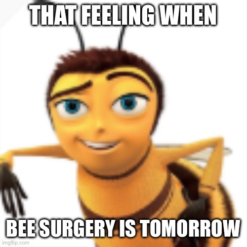 THAT FEELING WHEN; BEE SURGERY IS TOMORROW | image tagged in knee surgery,memes,oh wow are you actually reading these tags,bee movie,funny,haha | made w/ Imgflip meme maker