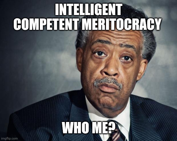 The MSNBC Checks Are Still Passing | INTELLIGENT COMPETENT MERITOCRACY; WHO ME? | image tagged in al sharpton racist | made w/ Imgflip meme maker