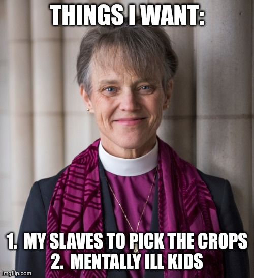 Bishop Mariann Edgar Budde | THINGS I WANT: 1.  MY SLAVES TO PICK THE CROPS
2.  MENTALLY ILL KIDS | image tagged in bishop mariann edgar budde | made w/ Imgflip meme maker