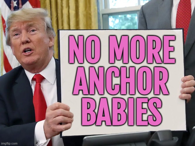 No More Anchor Babies | NO MORE
ANCHOR
BABIES | image tagged in trump executive order,illegal immigration,trump immigration policy,immigration,donald trump,breaking news | made w/ Imgflip meme maker