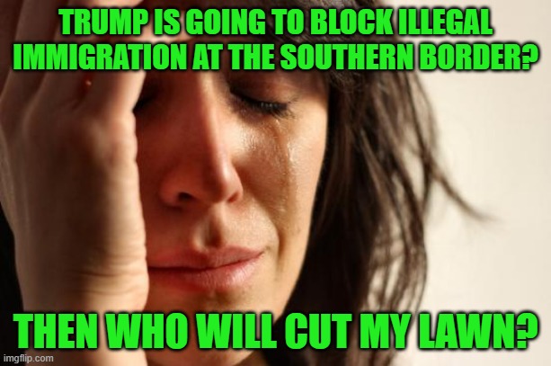 Liberal Angst over Border Enforcement | TRUMP IS GOING TO BLOCK ILLEGAL IMMIGRATION AT THE SOUTHERN BORDER? THEN WHO WILL CUT MY LAWN? | image tagged in memes,first world problems,donald trump,illegal immigration,lawn cutting | made w/ Imgflip meme maker