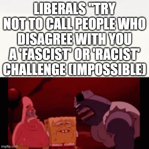 The Tolerant Left | LIBERALS "TRY NOT TO CALL PEOPLE WHO DISAGREE WITH YOU A 'FASCIST' OR 'RACIST' CHALLENGE (IMPOSSIBLE) | image tagged in challenge impossible,memes,liberal hypocrisy,the tolerant left | made w/ Imgflip meme maker