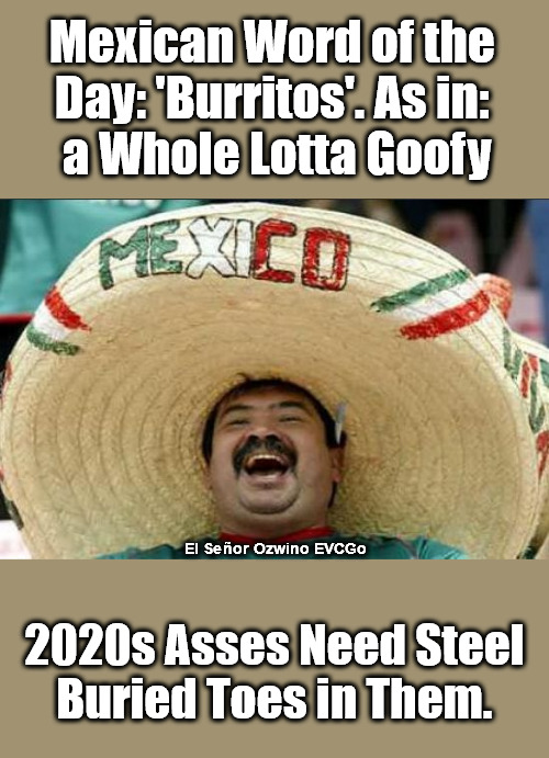 Human Species vs Clown World | Mexican Word of the 

Day: 'Burritos'. As in: 

a Whole Lotta Goofy; El Señor Ozwino EVCGo; 2020s Asses Need Steel 

Buried Toes in Them. | image tagged in mexican word of the day,burritos,say what,the struggle,2020s,world occupied | made w/ Imgflip meme maker