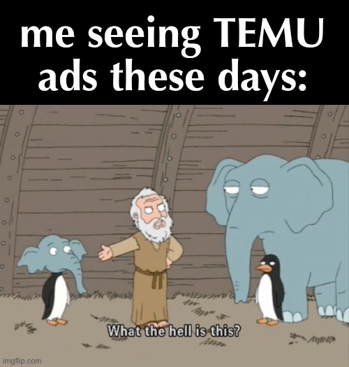 real | me seeing TEMU ads these days: | image tagged in what the hell is this | made w/ Imgflip meme maker