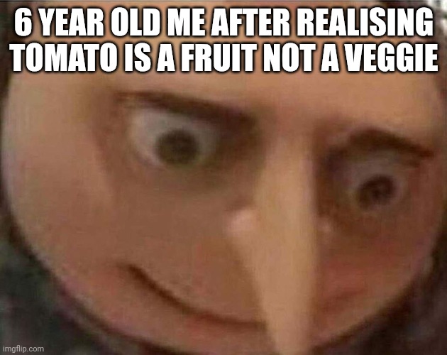 gru meme | 6 YEAR OLD ME AFTER REALISING TOMATO IS A FRUIT NOT A VEGGIE | image tagged in gru meme,nostalgia,kids | made w/ Imgflip meme maker