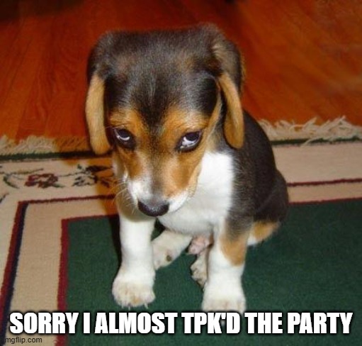 sorry | SORRY I ALMOST TPK'D THE PARTY | image tagged in sorry | made w/ Imgflip meme maker