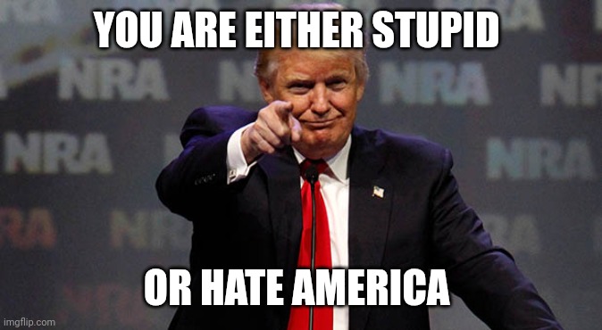 Hey, it's almost 3 am, need some eggs | YOU ARE EITHER STUPID; OR HATE AMERICA | image tagged in trump smiling | made w/ Imgflip meme maker