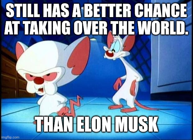 Still believable. | STILL HAS A BETTER CHANCE AT TAKING OVER THE WORLD. THAN ELON MUSK | image tagged in pinky and the brain monday,memes,elon musk | made w/ Imgflip meme maker