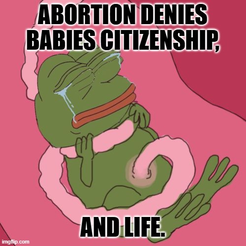 fetus pepe | ABORTION DENIES BABIES CITIZENSHIP, AND LIFE. | image tagged in fetus pepe | made w/ Imgflip meme maker