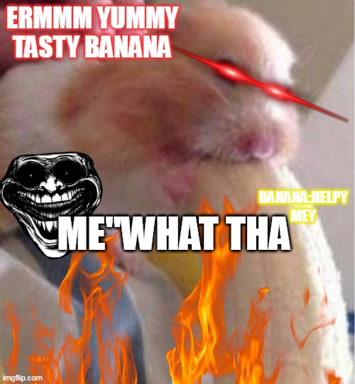 Hamster Banana Meme | ERMMM YUMMY TASTY BANANA; ME"WHAT THA; BANANA:HELPY MEY | image tagged in hamster banana meme | made w/ Imgflip meme maker