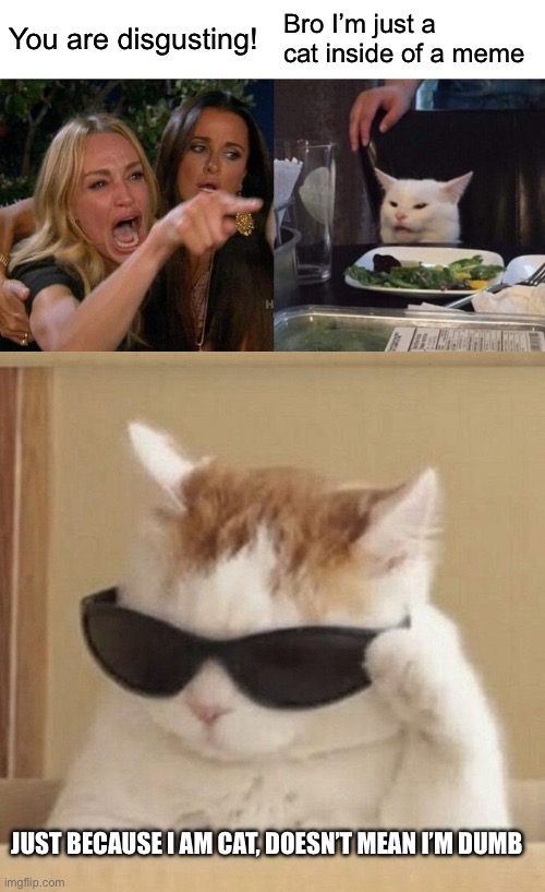 W Cat | You are disgusting! Bro I’m just a cat inside of a meme; JUST BECAUSE I AM CAT, DOESN’T MEAN I’M DUMB | image tagged in memes,woman yelling at cat,cool cat | made w/ Imgflip meme maker