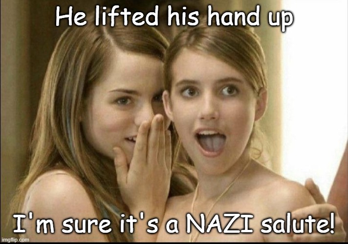 Everything's coming up Nazi | He lifted his hand up; I'm sure it's a NAZI salute! | image tagged in girls whispering | made w/ Imgflip meme maker