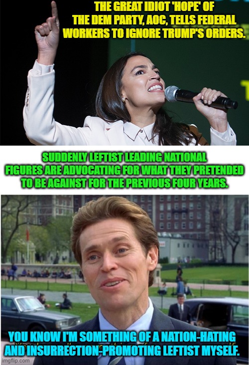 And our leftists . . . cheer. | THE GREAT IDIOT 'HOPE' OF THE DEM PARTY, AOC, TELLS FEDERAL WORKERS TO IGNORE TRUMP'S ORDERS. SUDDENLY LEFTIST LEADING NATIONAL FIGURES ARE ADVOCATING FOR WHAT THEY PRETENDED TO BE AGAINST FOR THE PREVIOUS FOUR YEARS. YOU KNOW I'M SOMETHING OF A NATION-HATING AND INSURRECTION-PROMOTING LEFTIST MYSELF. | image tagged in yep | made w/ Imgflip meme maker