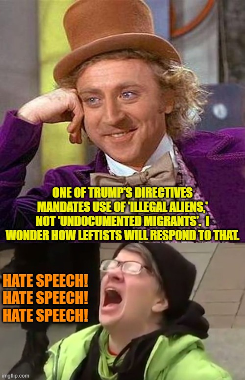 Yeah, probably something like that. | ONE OF TRUMP'S DIRECTIVES MANDATES USE OF 'ILLEGAL ALIENS,' NOT 'UNDOCUMENTED MIGRANTS'.  I WONDER HOW LEFTISTS WILL RESPOND TO THAT. HATE SPEECH!
HATE SPEECH!
HATE SPEECH! | image tagged in creepy condescending wonka | made w/ Imgflip meme maker