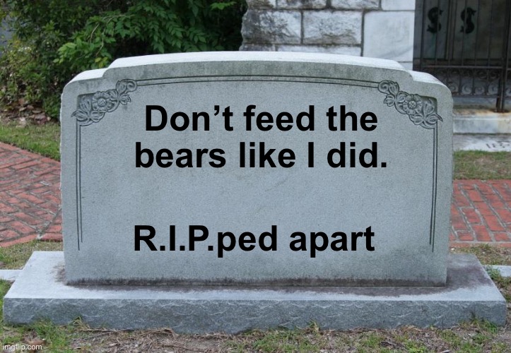 Gravestone | Don’t feed the bears like I did. R.I.P.ped apart | image tagged in gravestone | made w/ Imgflip meme maker