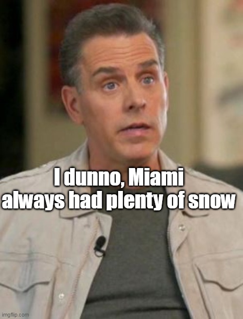 I dunno, Miami always had plenty of snow | made w/ Imgflip meme maker