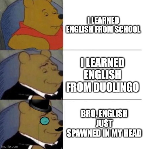 It just spawned in | I LEARNED ENGLISH FROM SCHOOL; I LEARNED ENGLISH FROM DUOLINGO; BRO, ENGLISH JUST SPAWNED IN MY HEAD | image tagged in tuxedo winnie the pooh 3 panel,funny,meme,memes,funny memes,funny meme | made w/ Imgflip meme maker