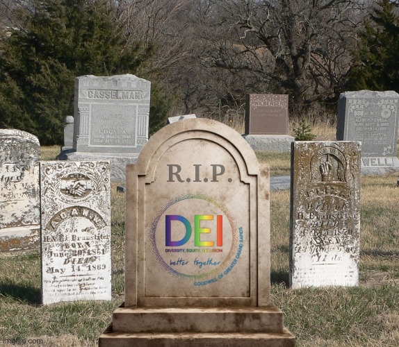 R.I.P. DEI | image tagged in rip,diversity,woke,shit,die,funny | made w/ Imgflip meme maker