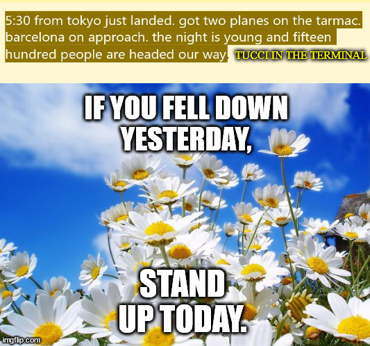 start of a very unambitious stream for humble ends | TUCCI IN THE TERMINAL; IF YOU FELL DOWN 
YESTERDAY, STAND 
UP TODAY. | image tagged in flowers,airport,meme,quote,tucci,______ | made w/ Imgflip meme maker