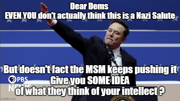 SMH, Musk "Nazi Salute" | Dear Dems 
EVEN YOU don't actually think this is a Nazi Salute; But doesn't fact the MSM keeps pushing it
Give you SOME IDEA of what they think of your intellect ? | image tagged in dem intellect musk nazi salute meme | made w/ Imgflip meme maker