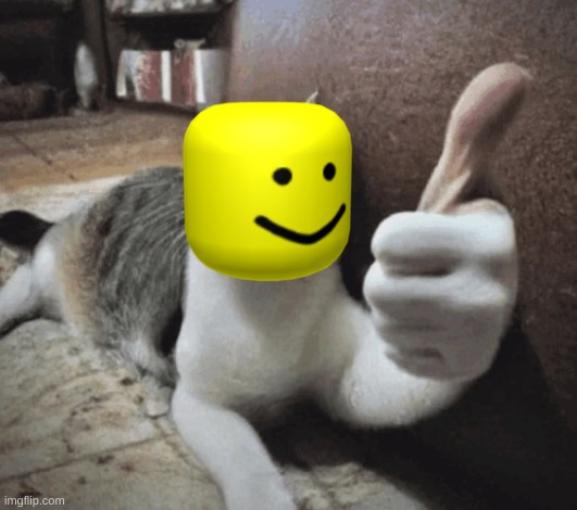 cat thumbs up | image tagged in cat thumbs up | made w/ Imgflip meme maker