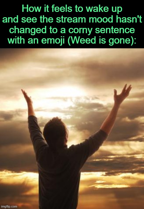 . | How it feels to wake up and see the stream mood hasn't changed to a corny sentence with an emoji (Weed is gone): | image tagged in thank god | made w/ Imgflip meme maker