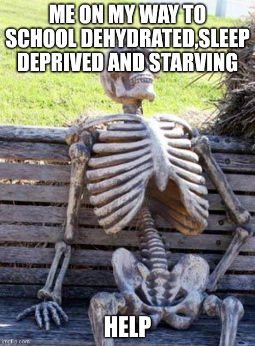 true | ME ON MY WAY TO SCHOOL DEHYDRATED,SLEEP DEPRIVED AND STARVING; HELP | image tagged in memes,waiting skeleton | made w/ Imgflip meme maker