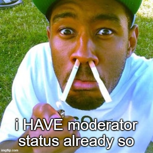 tylor the crater | i HAVE moderator status already so | image tagged in tylor the crater | made w/ Imgflip meme maker