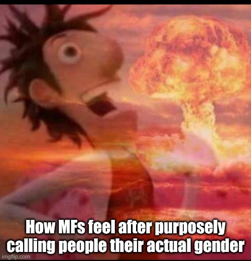 MushroomCloudy | How MFs feel after purposely calling people their actual gender | image tagged in mushroomcloudy | made w/ Imgflip meme maker