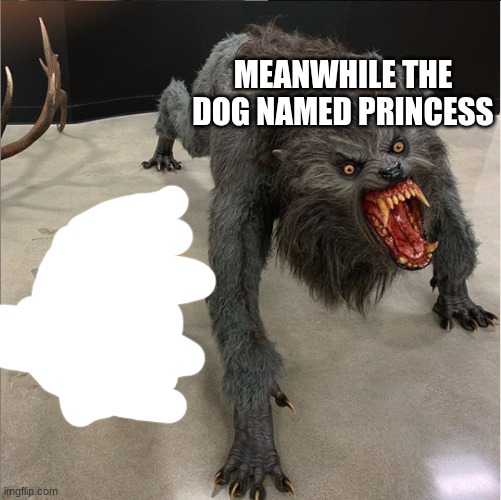 dog vs werewolf | MEANWHILE THE DOG NAMED PRINCESS | image tagged in dog vs werewolf | made w/ Imgflip meme maker