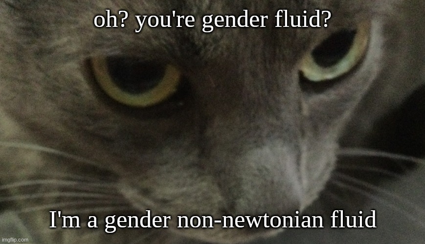 if you move me quickly I get hard | oh? you're gender fluid? I'm a gender non-newtonian fluid | image tagged in sweetie | made w/ Imgflip meme maker