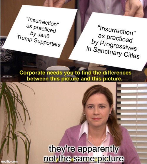 They're The Same Picture | "Insurrection" as practiced by Jan6 Trump Supporters; "Insurrection" as practiced by Progressives in Sanctuary Cities; they're apparently not the same picture | image tagged in memes,they're the same picture | made w/ Imgflip meme maker