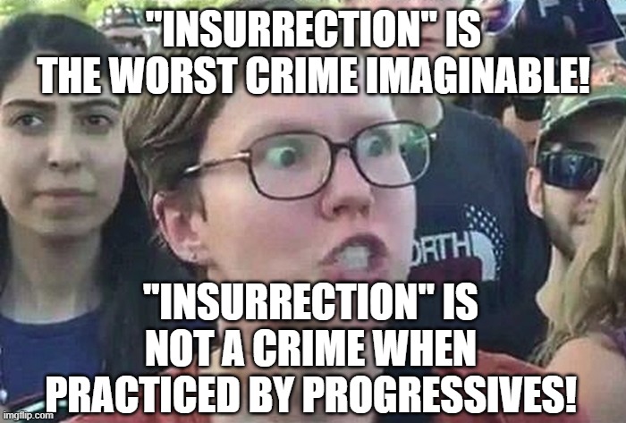 Triggered Liberal | "INSURRECTION" IS THE WORST CRIME IMAGINABLE! "INSURRECTION" IS NOT A CRIME WHEN PRACTICED BY PROGRESSIVES! | image tagged in triggered liberal | made w/ Imgflip meme maker