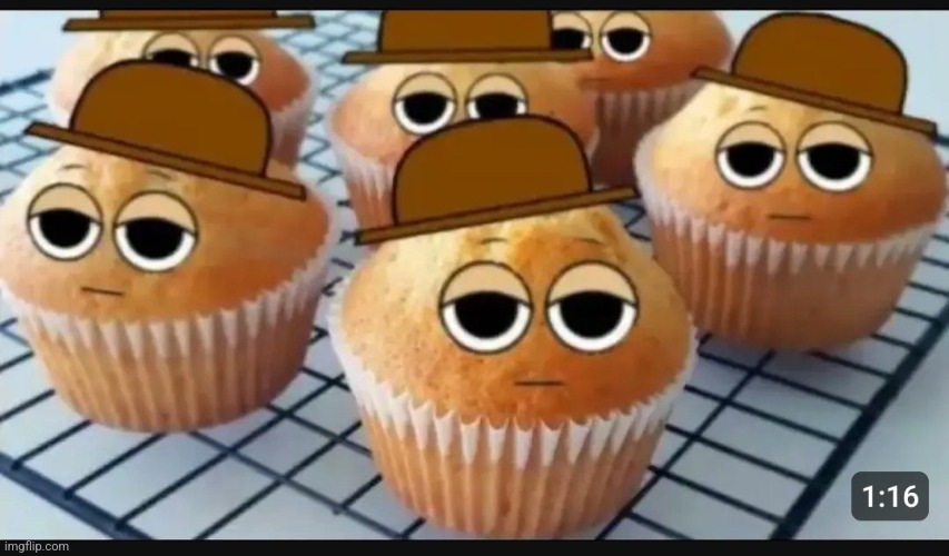 Tunner muffins | image tagged in muffin,tunner,sprunki,bullshit | made w/ Imgflip meme maker