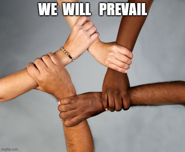 We Will Prevail | WE  WILL   PREVAIL | image tagged in stronger together | made w/ Imgflip meme maker