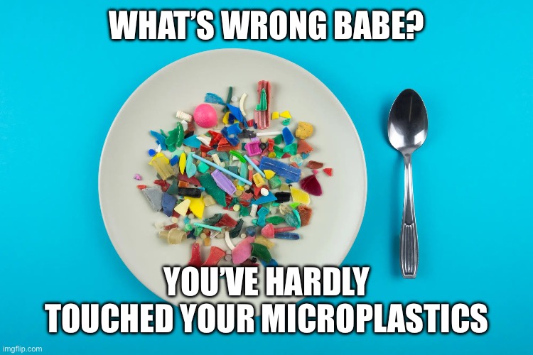 What’s Wrong Babe? | WHAT’S WRONG BABE? YOU’VE HARDLY TOUCHED YOUR MICROPLASTICS | image tagged in microplastic,food,memes,classicmeme,topical | made w/ Imgflip meme maker